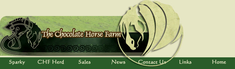 Chocolate Horse Farms Navigation Menu